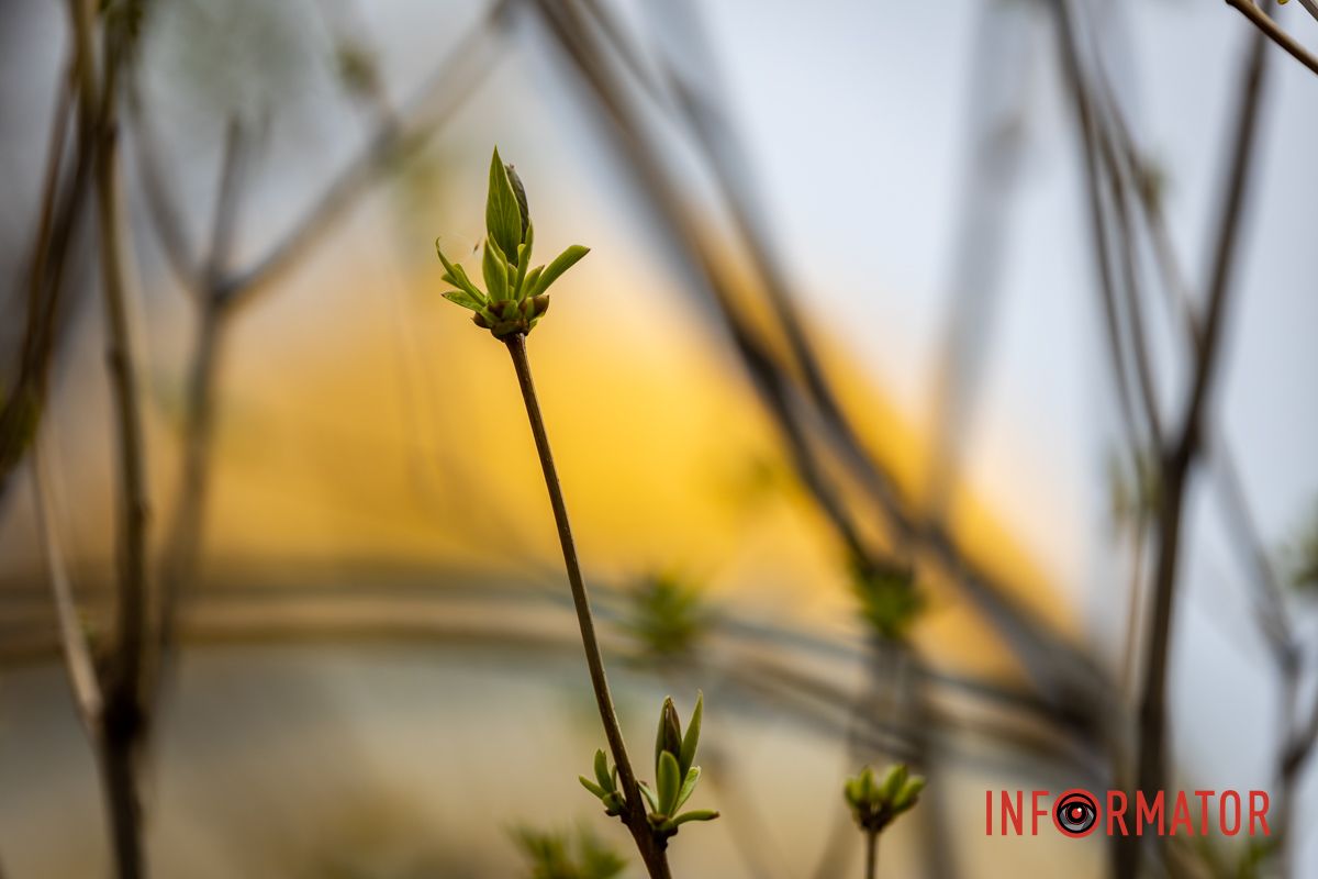 Очаровательная весна пришла в Днепр и начала украшать город 26