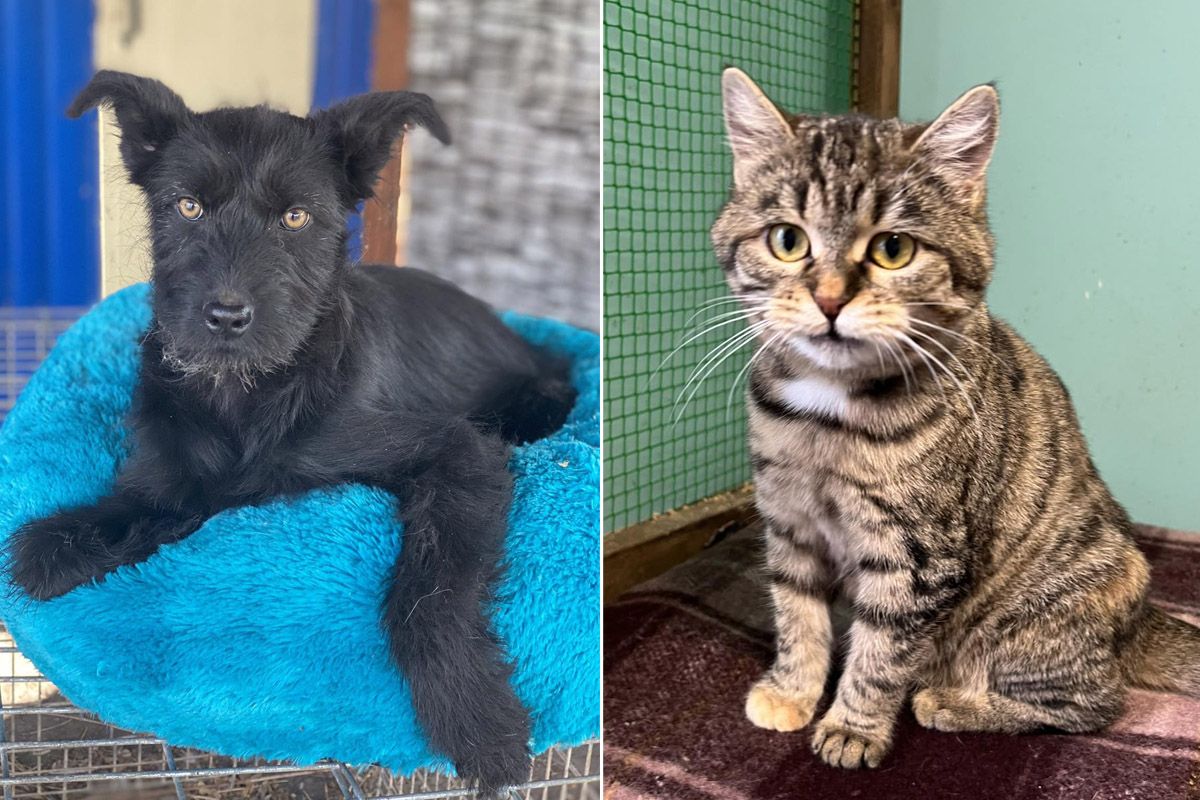 Всем им нужна забота