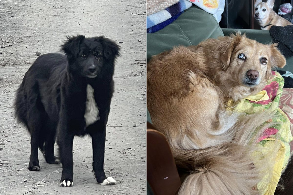 С надеждой на заботу в новых семьях