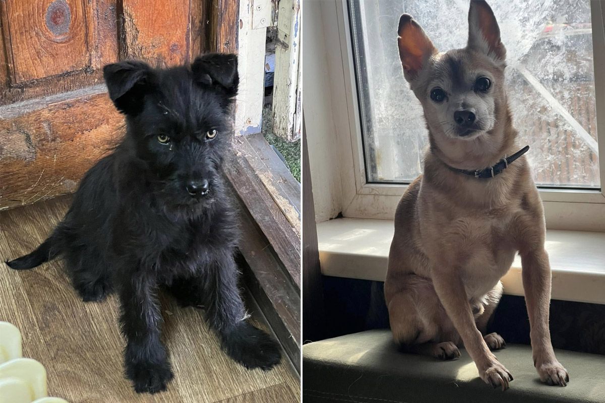 Только посмотрите в эти глазки