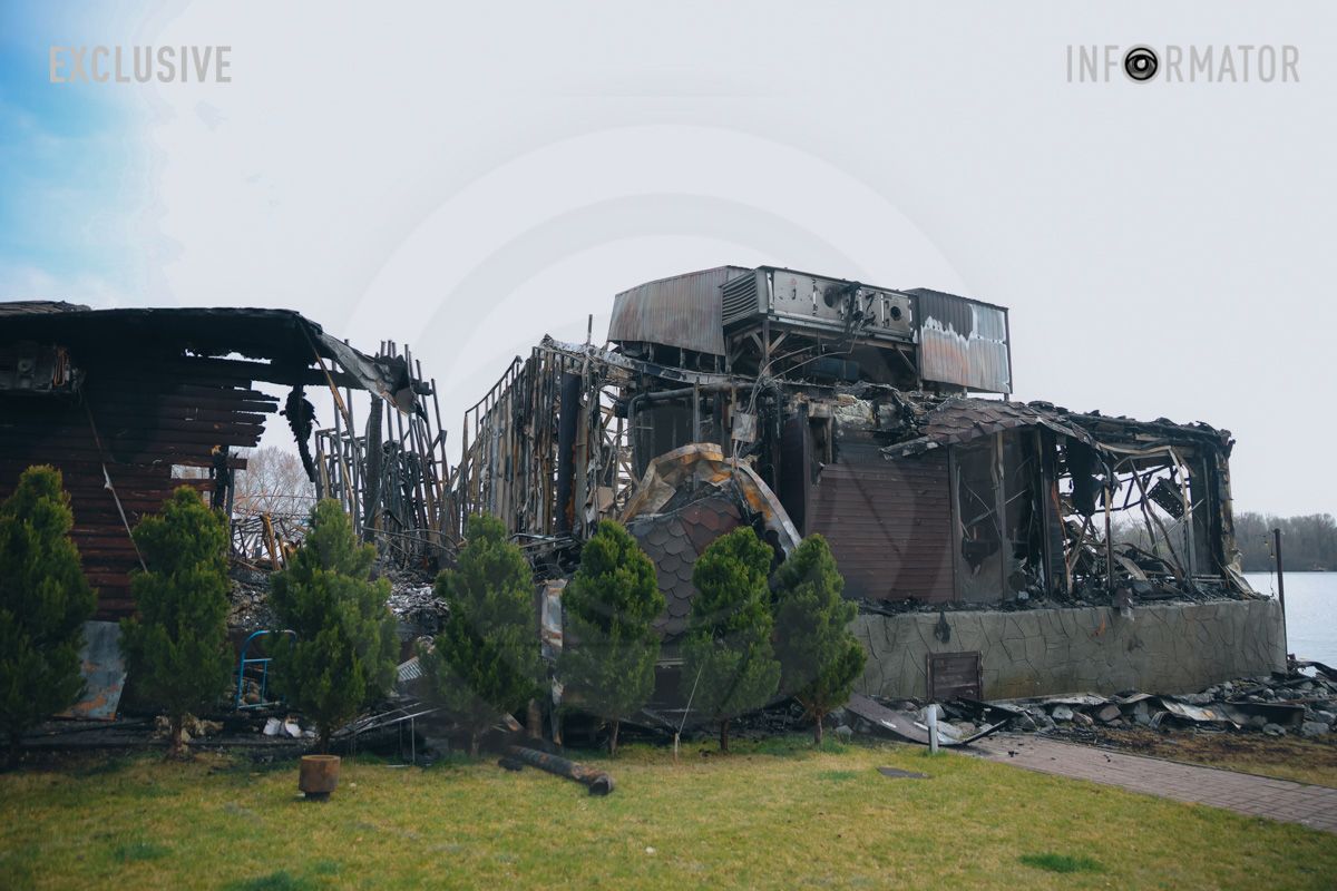 Дерева вціліли 