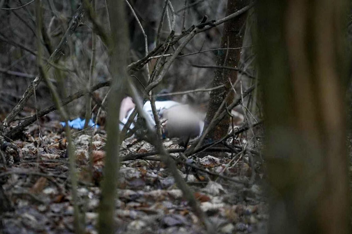 Фото із соцмереж