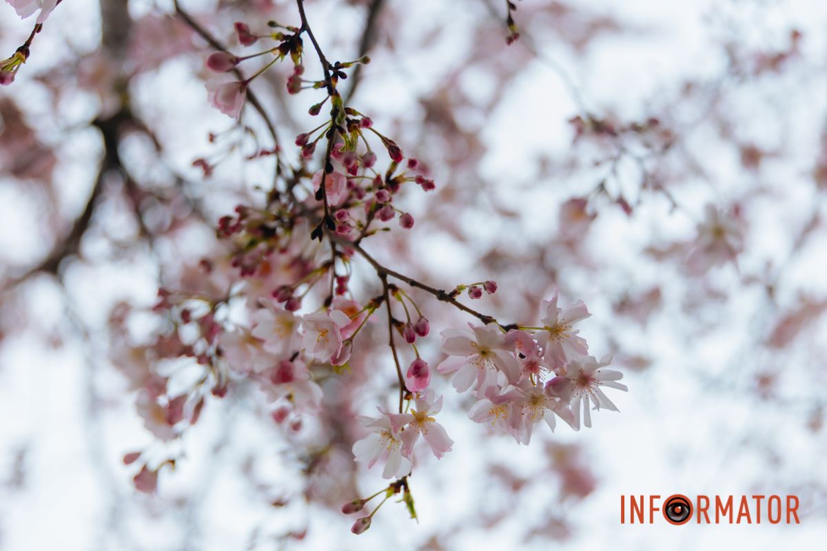 Фото: Денис Чубченко