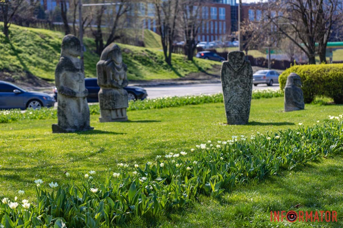 Сакури, тюльпани та магнолії: де у Дніпрі розпустилися квіти та дерева 13