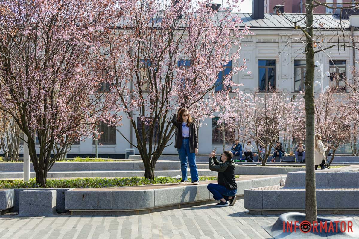 Сакури, тюльпани та магнолії: де у Дніпрі розпустилися квіти та дерева 17