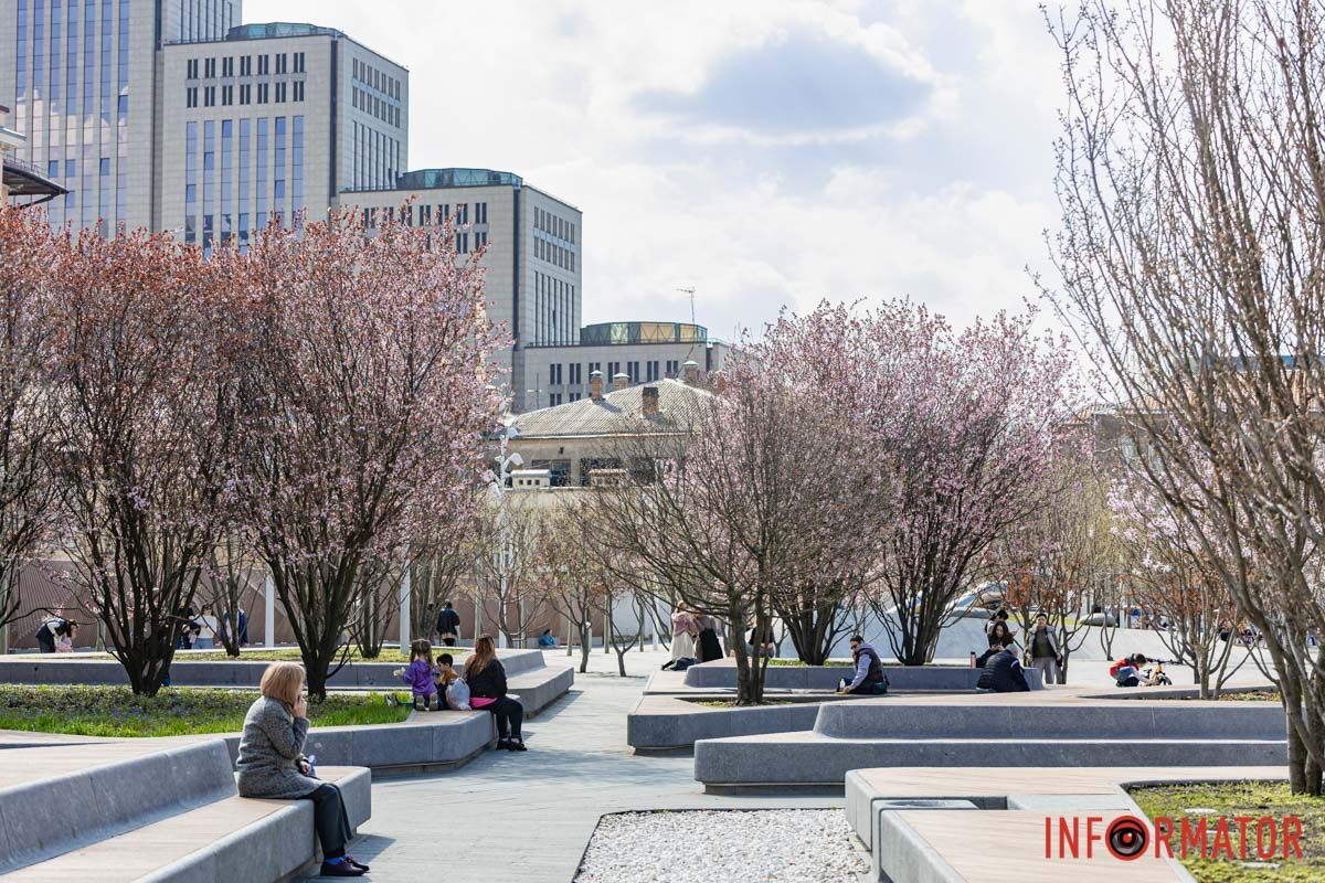 Сакури, тюльпани та магнолії: де у Дніпрі розпустилися квіти та дерева 31