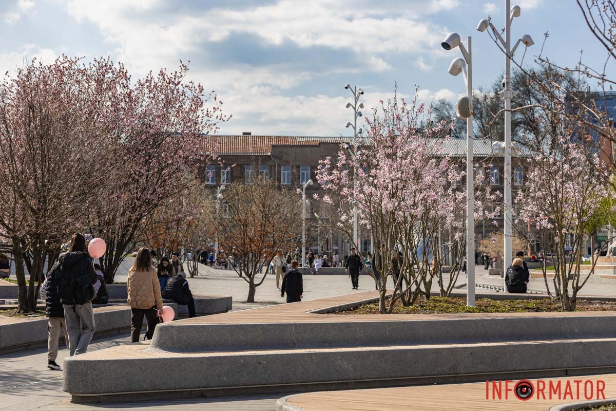 Сакури, тюльпани та магнолії: де у Дніпрі розпустилися квіти та дерева 30