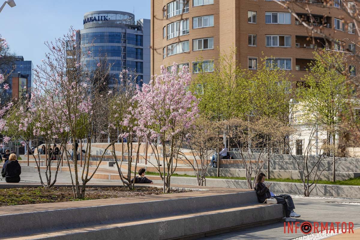 Сакури, тюльпани та магнолії: де у Дніпрі розпустилися квіти та дерева 29