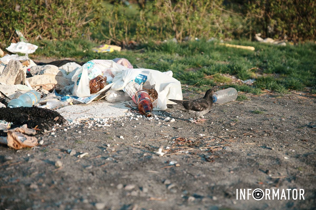 Сморід та антисанітарія: у Дніпрі на Зиновія Матли утворилося стихійне звалище між багатоповерхівками 10