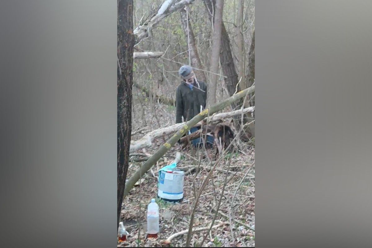 Кадри з повішеним чоловіком, які розповсюджували в соцмережах