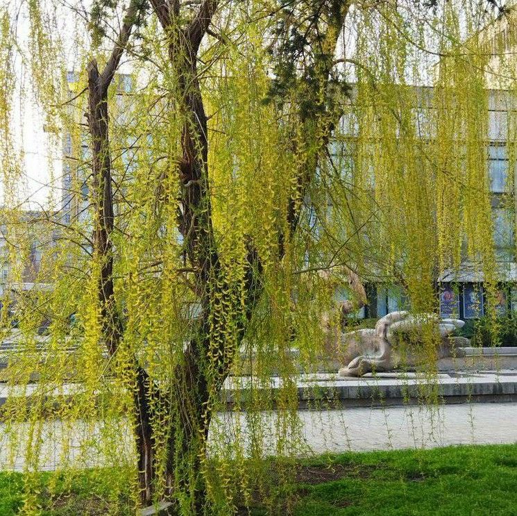 гениальный_а