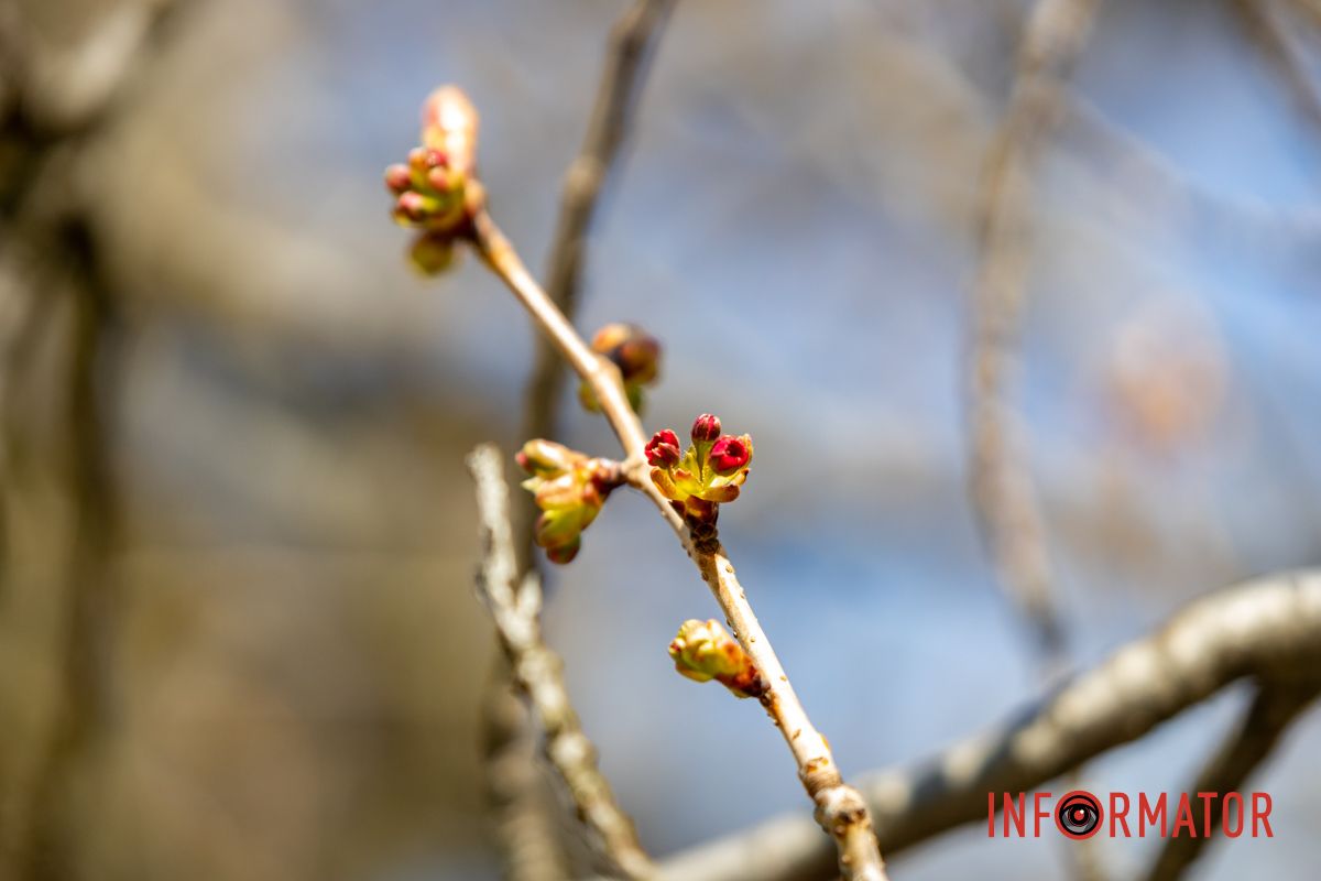 Под солнечными лучами