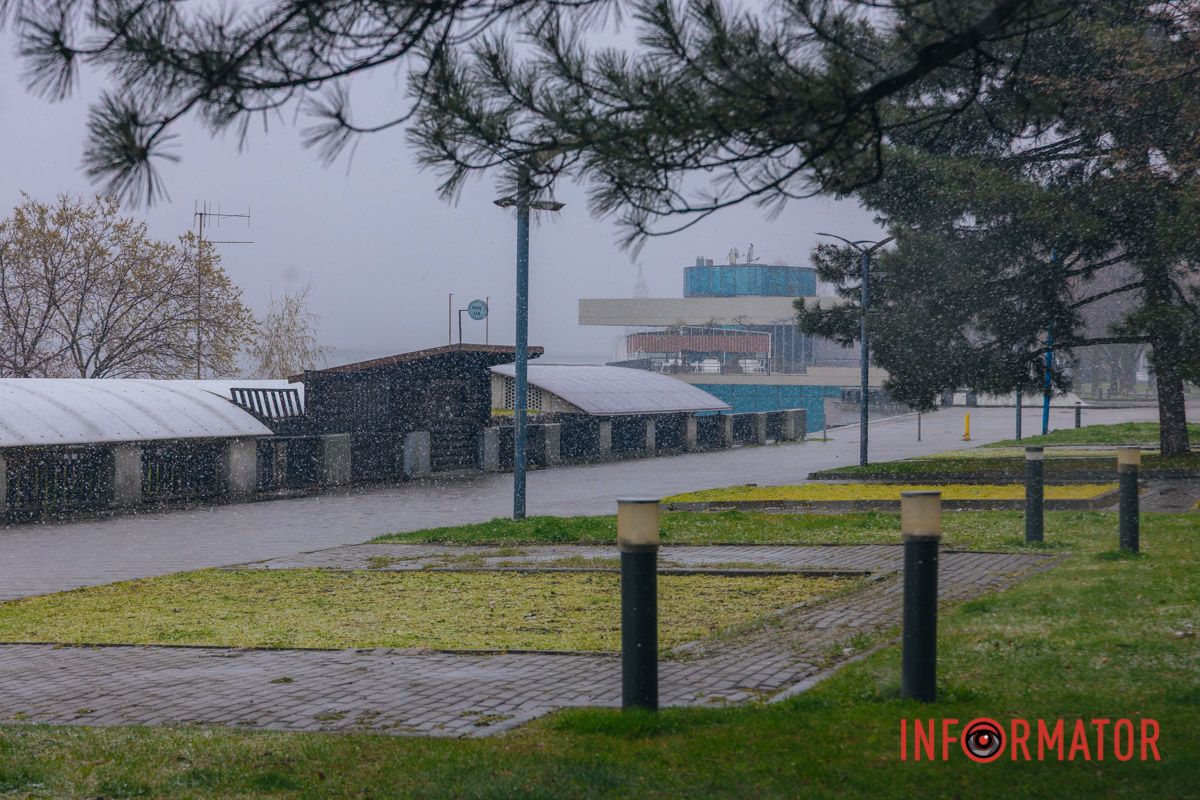 Тюльпани під білою ковдрою: Дніпро у квітні засипає снігом 6