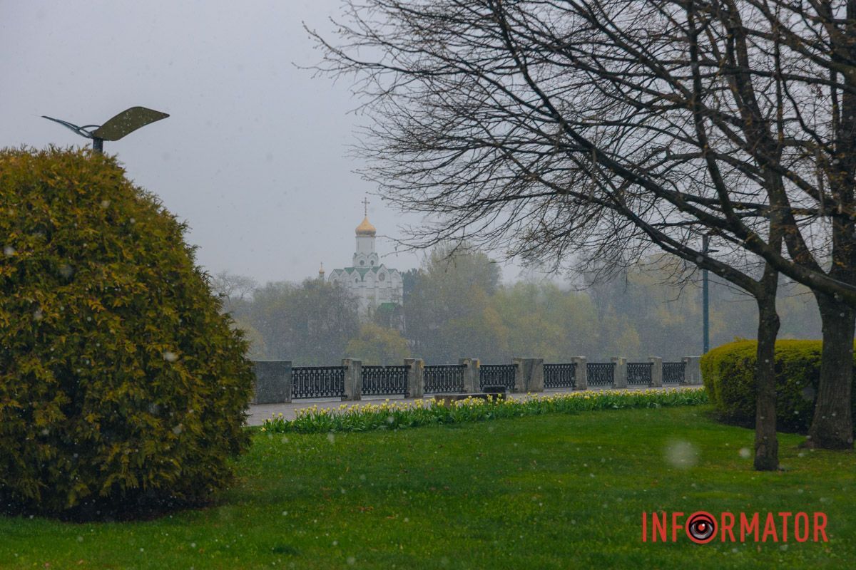 Тюльпани під білою ковдрою: Дніпро у квітні засипає снігом 3