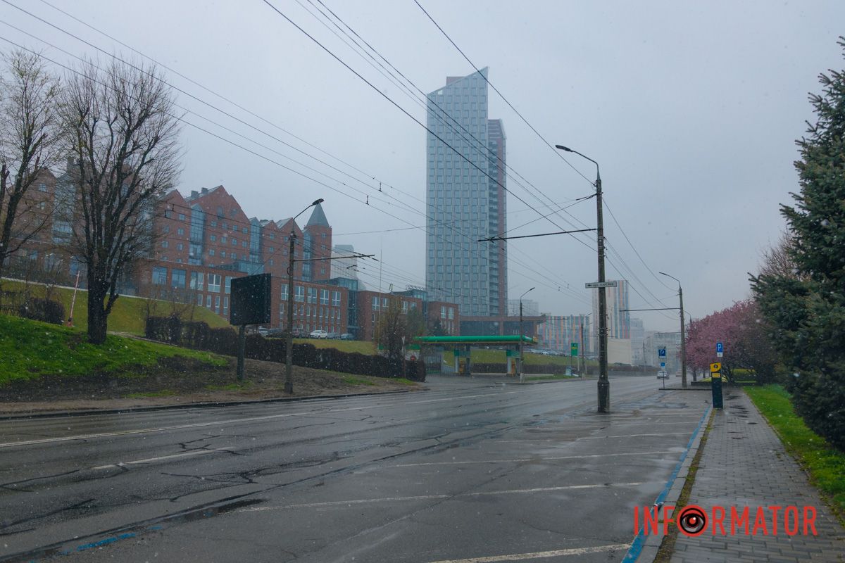 Тюльпани під білою ковдрою: Дніпро у квітні засипає снігом 11