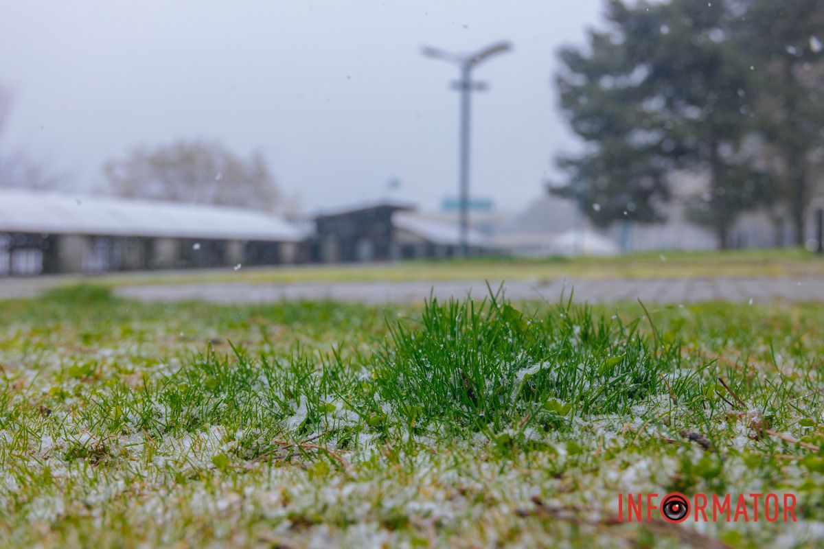 Тюльпани під білою ковдрою: Дніпро у квітні засипає снігом 15