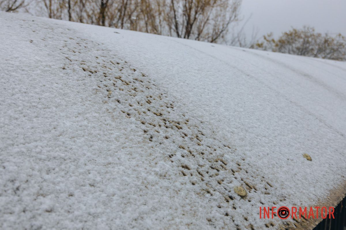 Тюльпани під білою ковдрою: Дніпро у квітні засипає снігом 10
