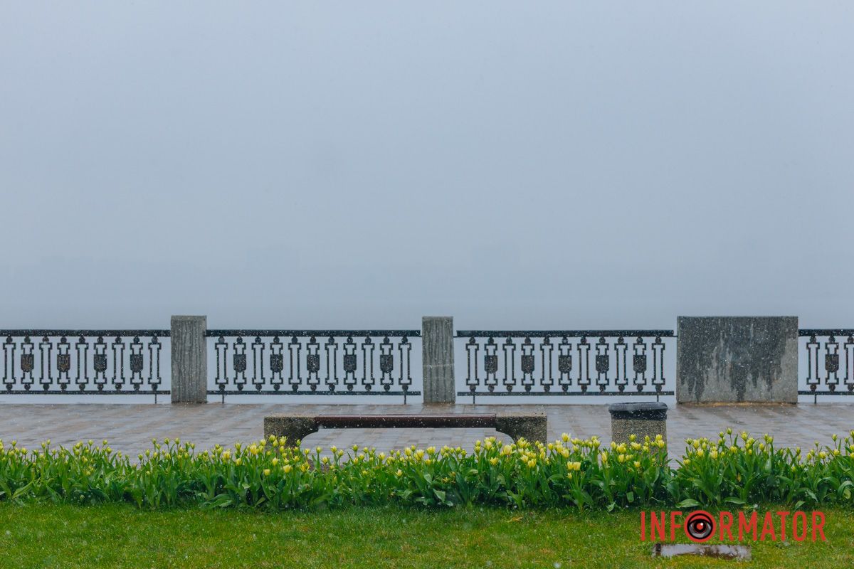 Тюльпани під білою ковдрою: Дніпро у квітні засипає снігом 13