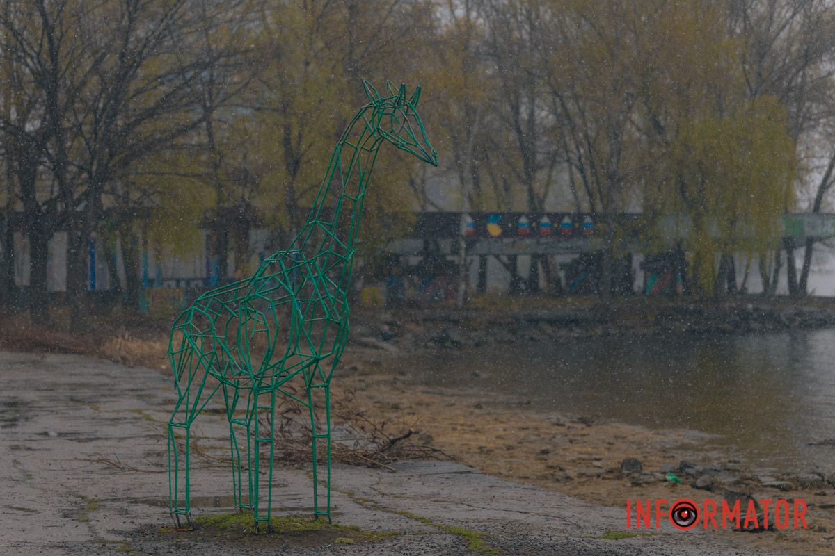 Тюльпани під білою ковдрою: Дніпро у квітні засипає снігом 24