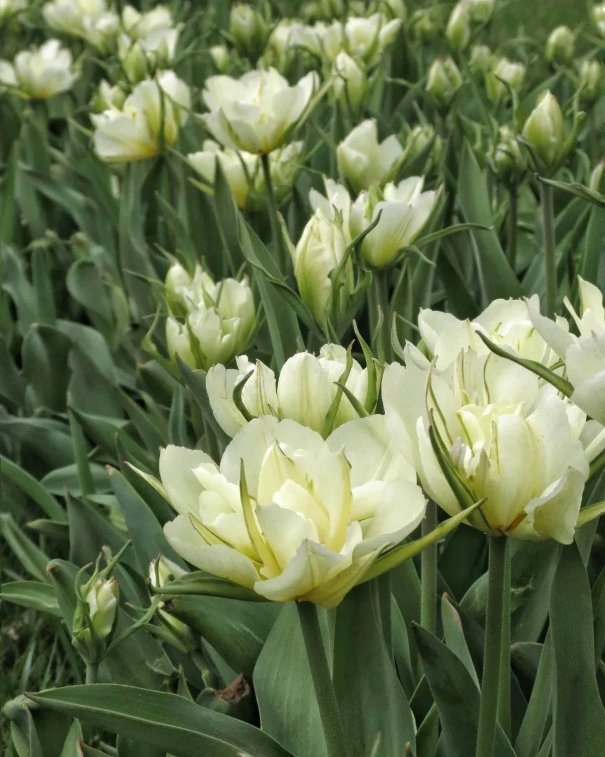 Фото: @ks_phtv Якби у Дніпра був Instagram: топ красивих світлин міста 1