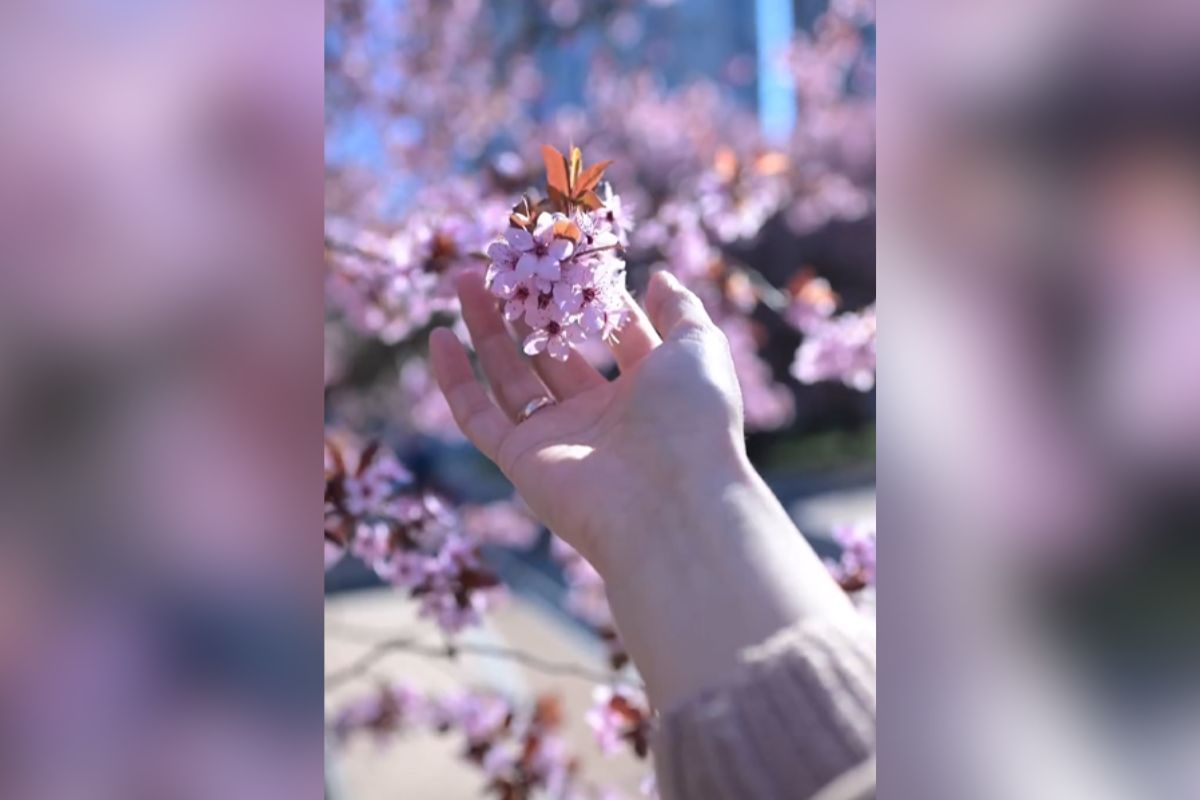 Фото: @kate.trofimets. Якби у Дніпра був Instagram: топ красивих світлин міста 7