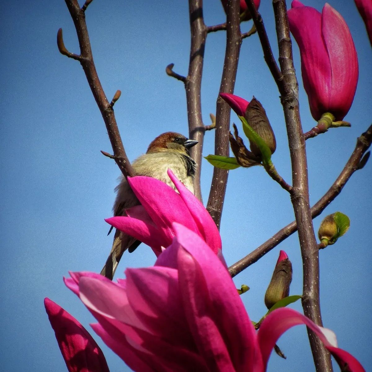 Фото: @photographer_andrey_moroz Якби у Дніпра був Instagram: топ красивих світлин міста 6