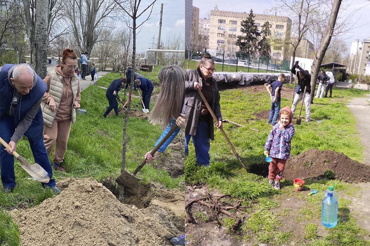 Дмитро Кисилевський додав, що він зі своєю командою безкоштовно доставили саджанці клену-явору у 20 дворів Дніпра