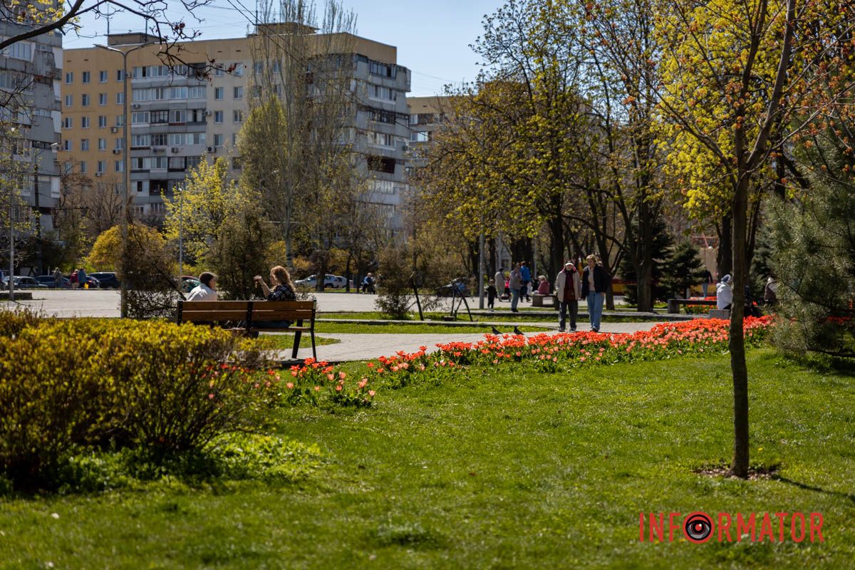 Весняна магія у Дніпрі: де шукати червоні тюльпани та рожеві сакури 17