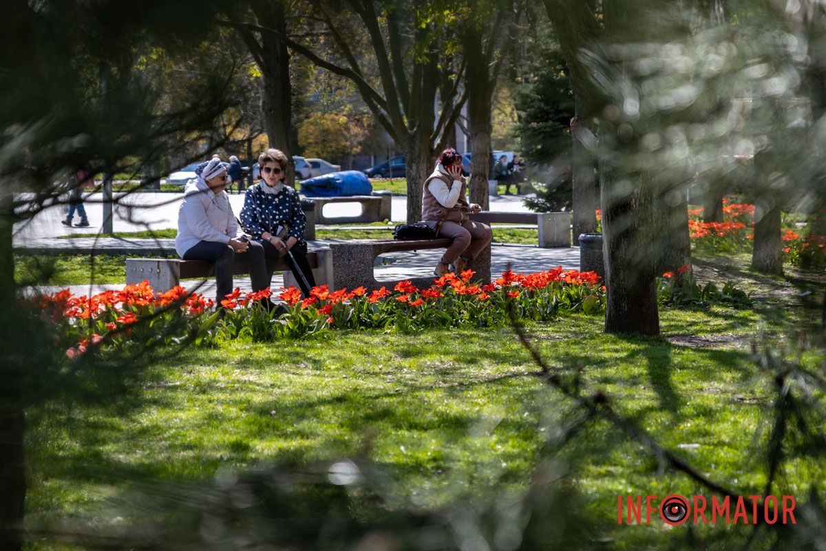 Весняна магія у Дніпрі: де шукати червоні тюльпани та рожеві сакури 23