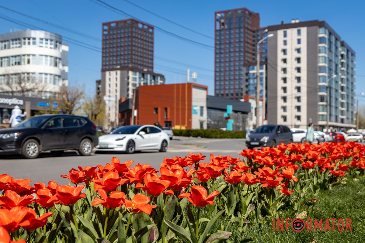 Весняна магія у Дніпрі: де шукати червоні тюльпани та рожеві сакури 25