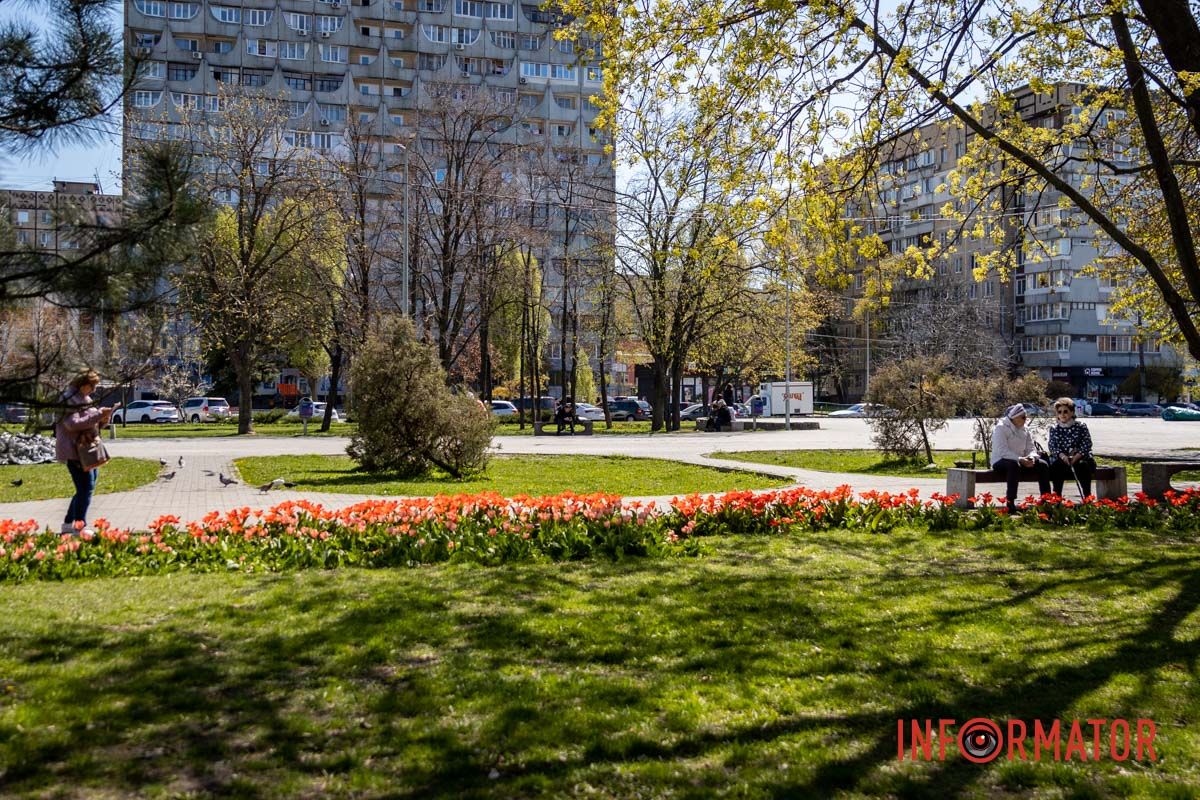 Весняна магія у Дніпрі: де шукати червоні тюльпани та рожеві сакури 26