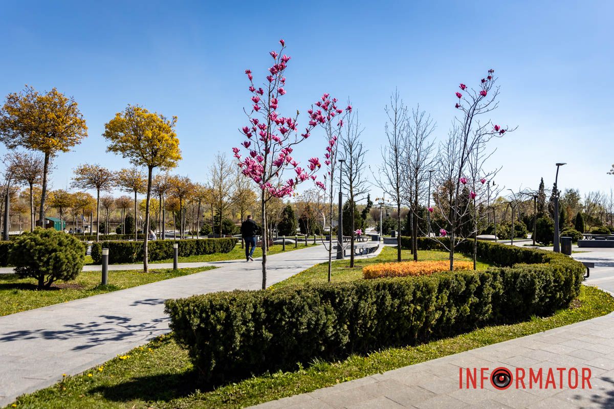Весняна магія у Дніпрі: де шукати червоні тюльпани та рожеві сакури 34