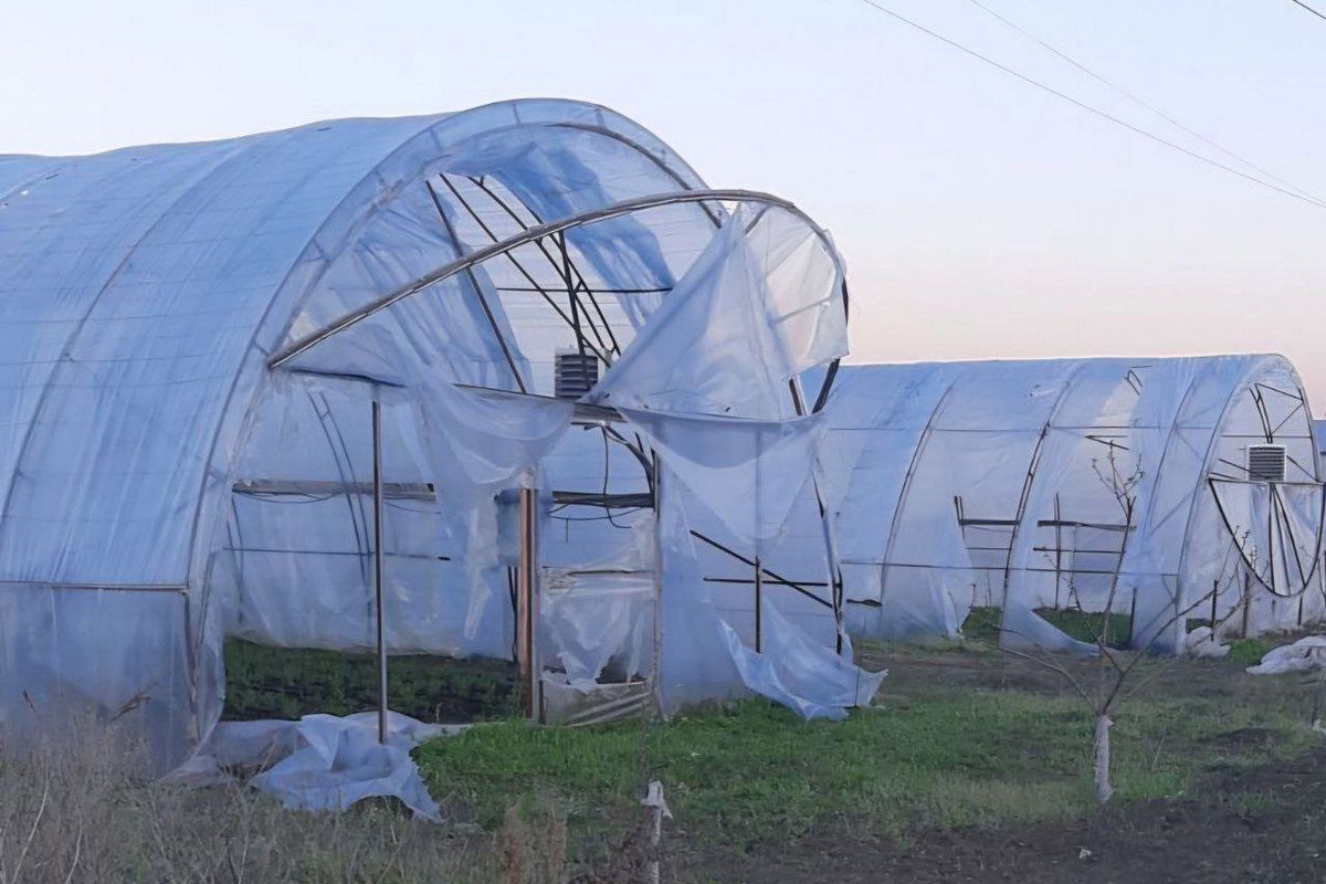 Теплиці у Підгородному