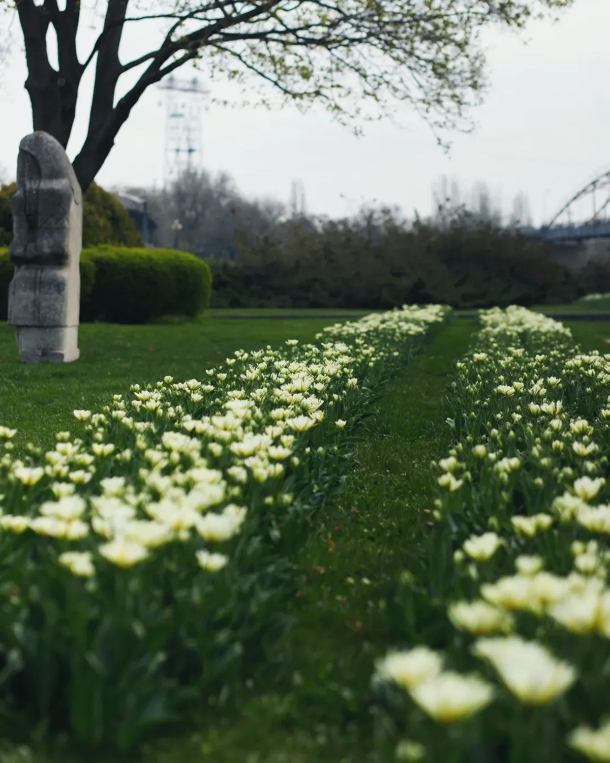 Фото: @_artem_voloshyn_ Фото: @_artem_voloshyn_