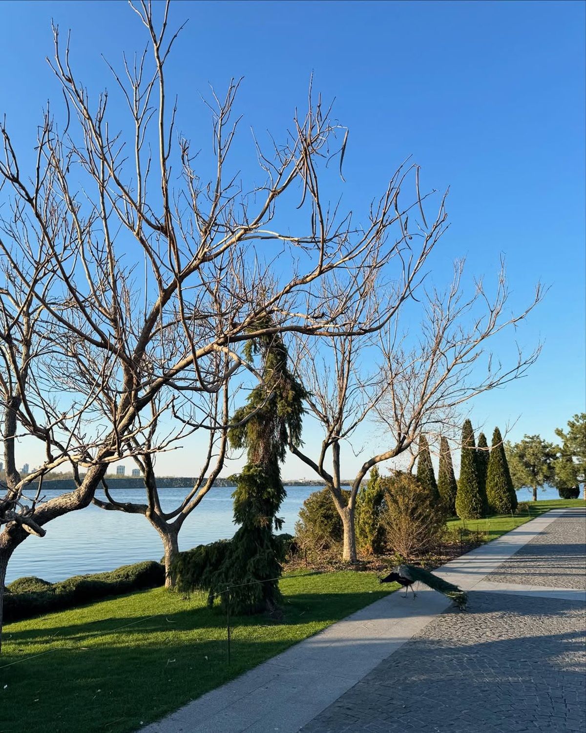 Фото: @_novikova_alinaa_ Фото: @_novikova_alinaa_