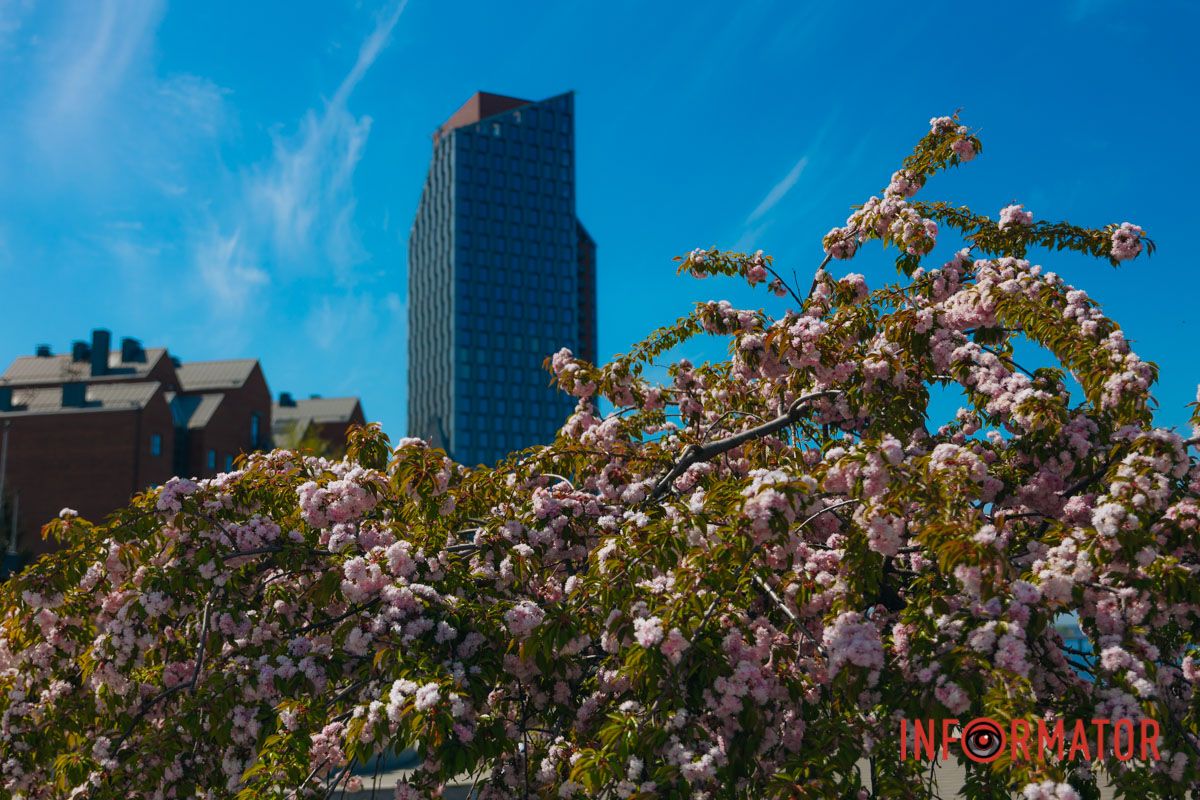 Весенняя гармония