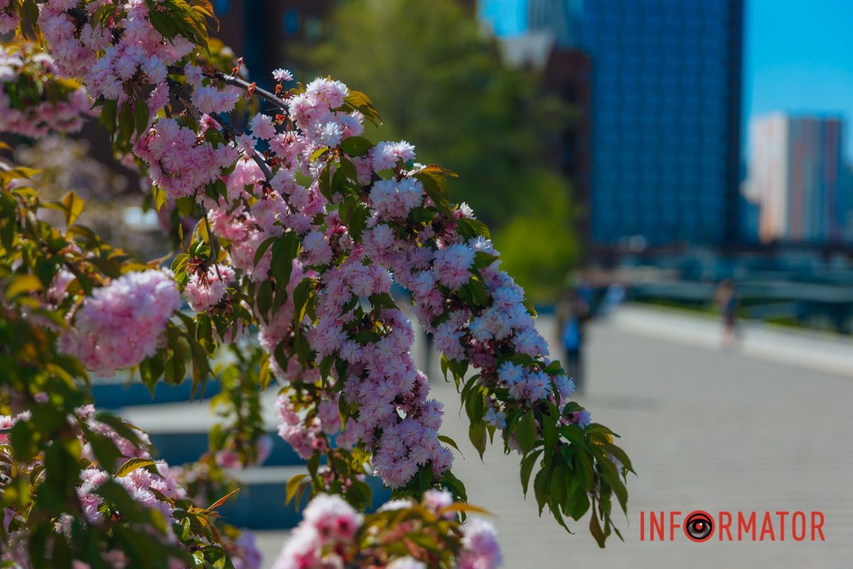 Когда цветы говорят громче слов