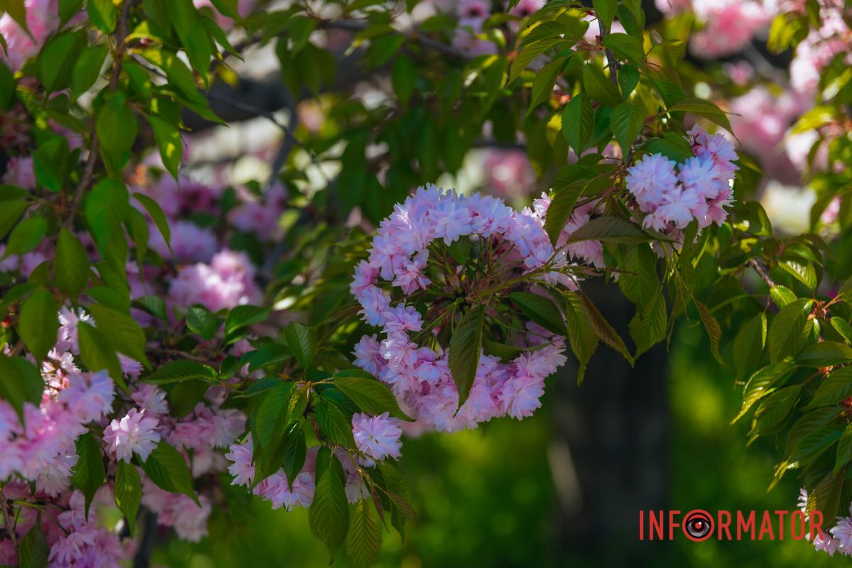 Цветочное настроение