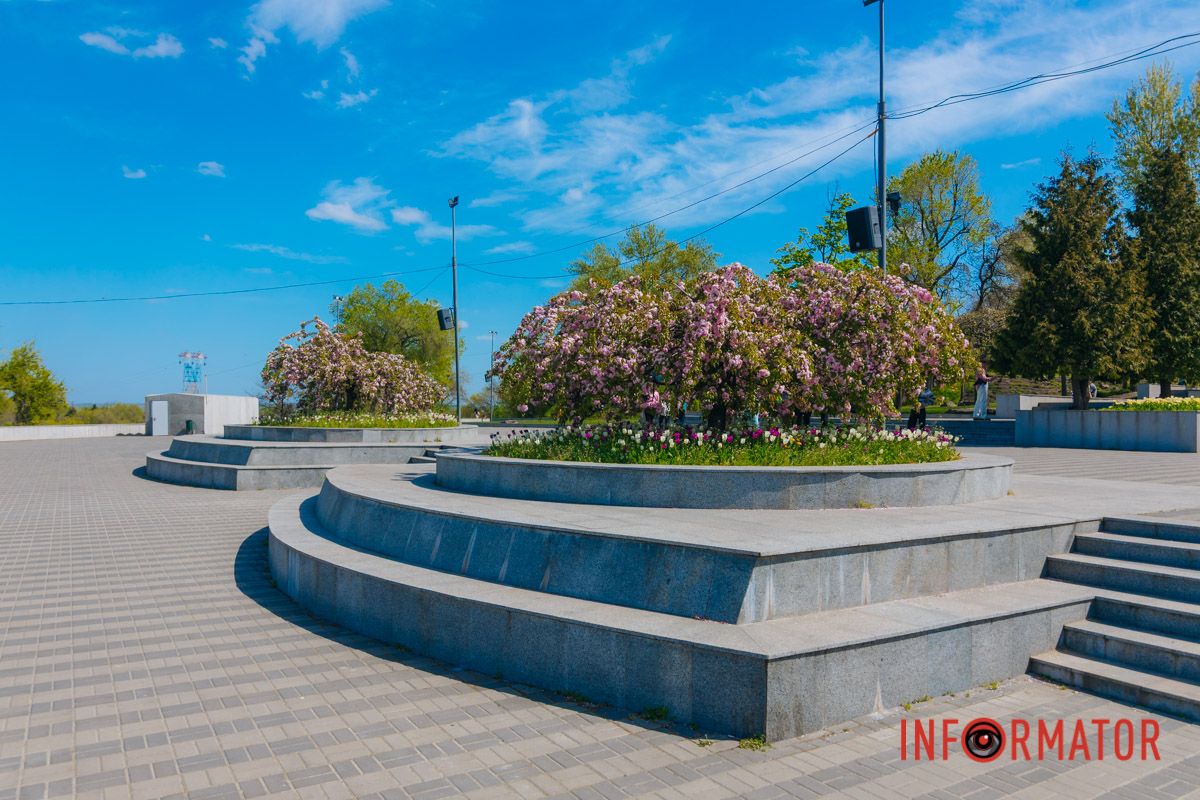 В лепестках – вся поэзия дня