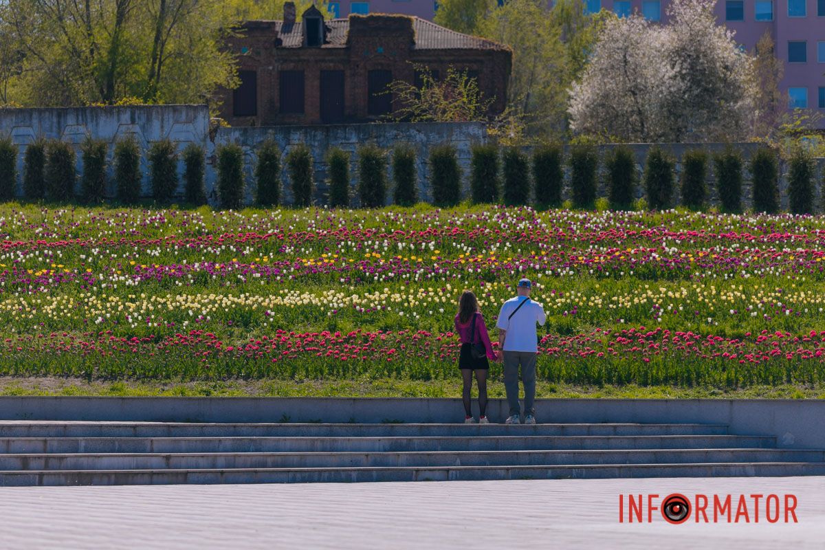 Маленькое чудо в каждом цветке