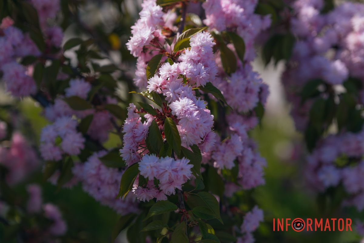 Еще один повод улыбнуться