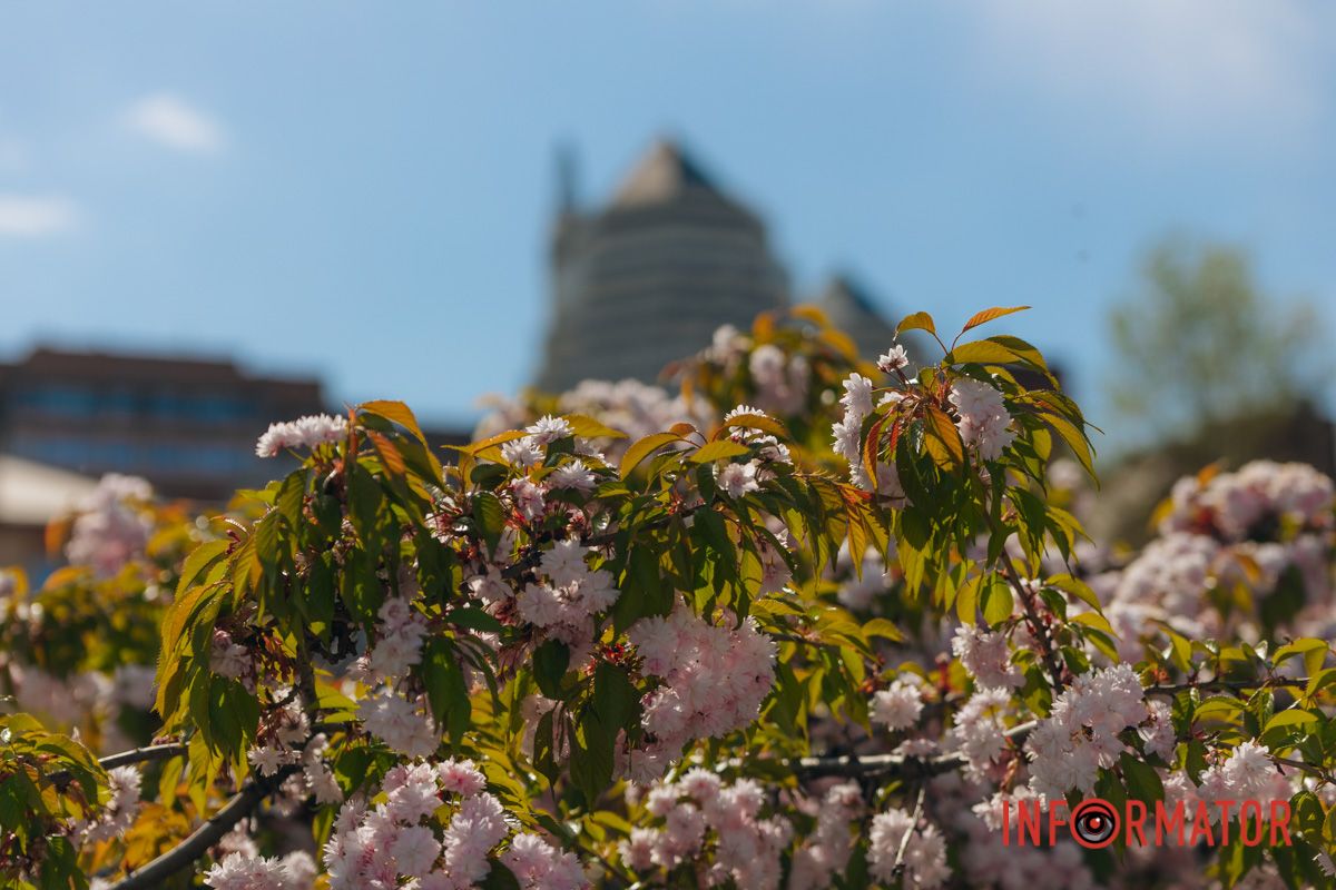 Краски, говорящие без слов