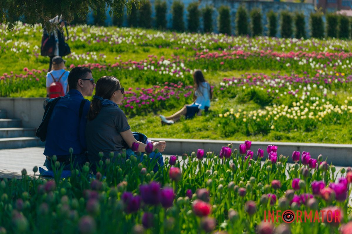 Весна. Цветы. Тишина.