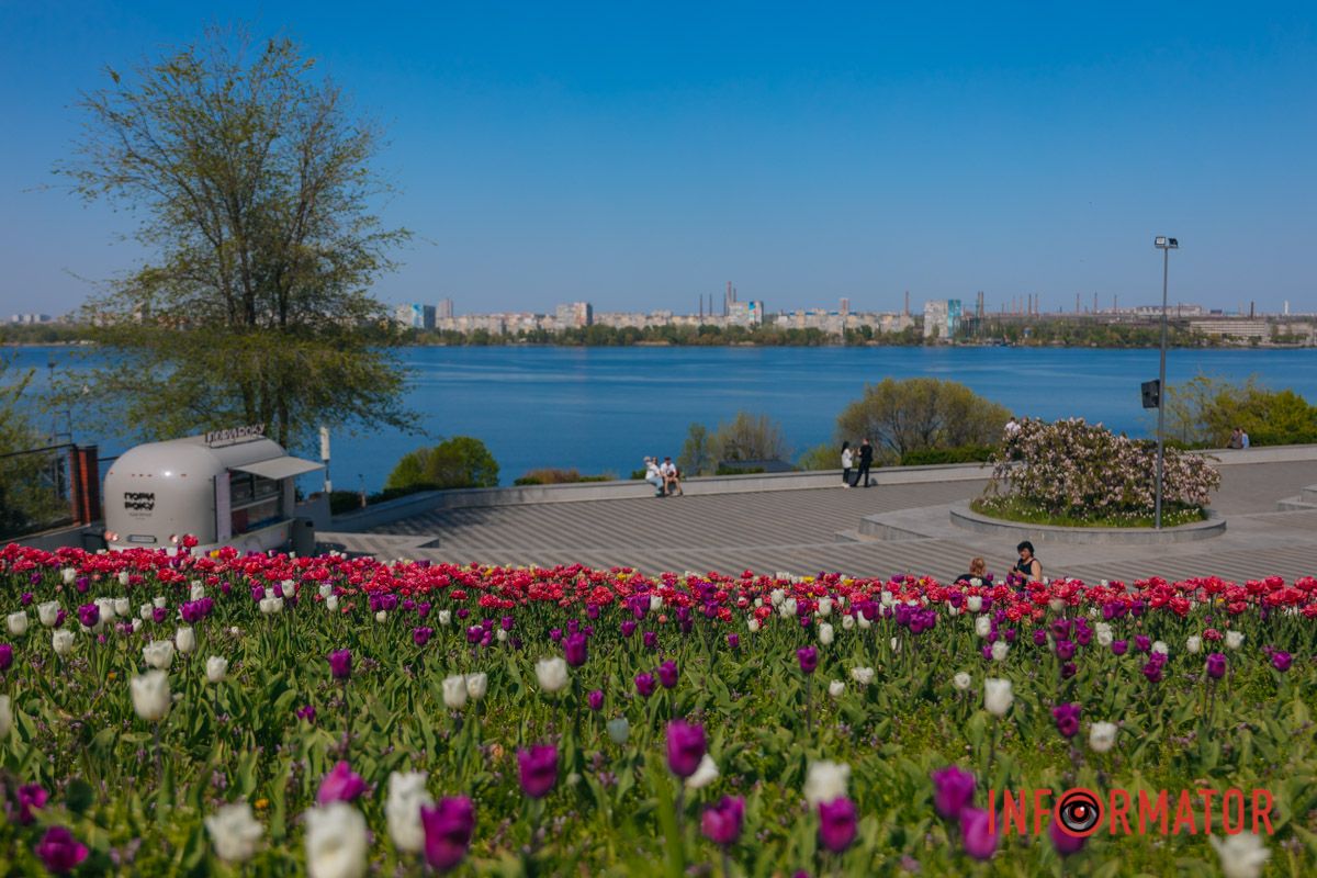 Весна говорит цветами