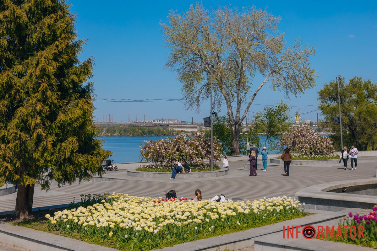 Сакура цветет – и сердце тоже