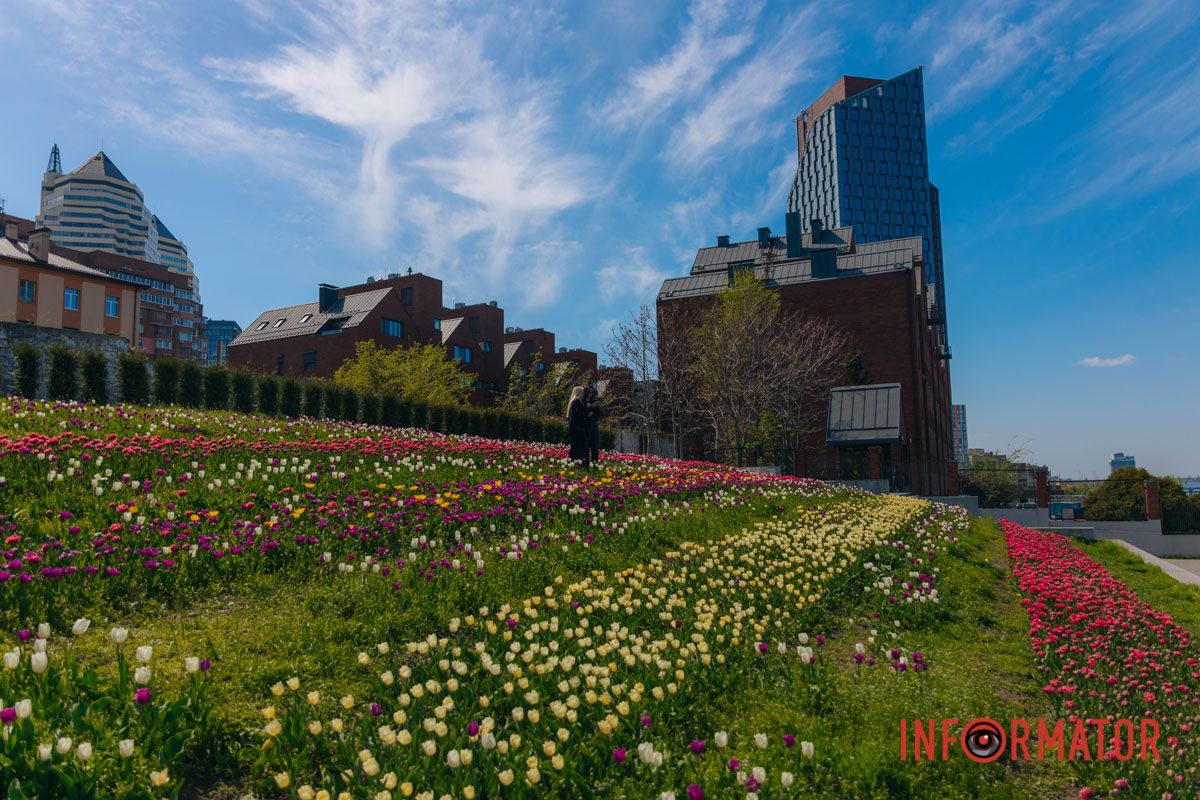 Сотни лепестков - одна эмоция