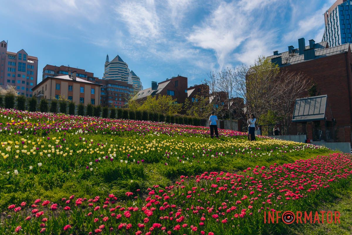 Нежность в каждом лепестке