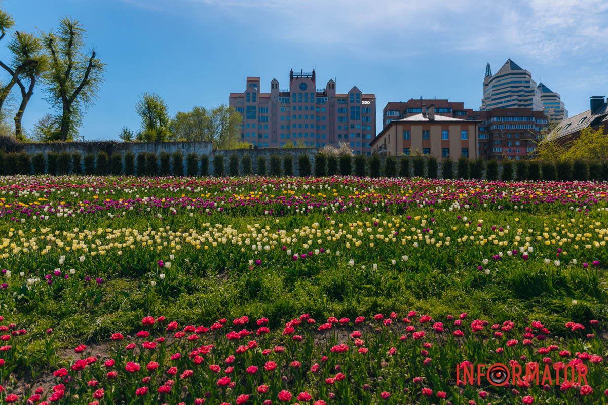 Весна в объективе
