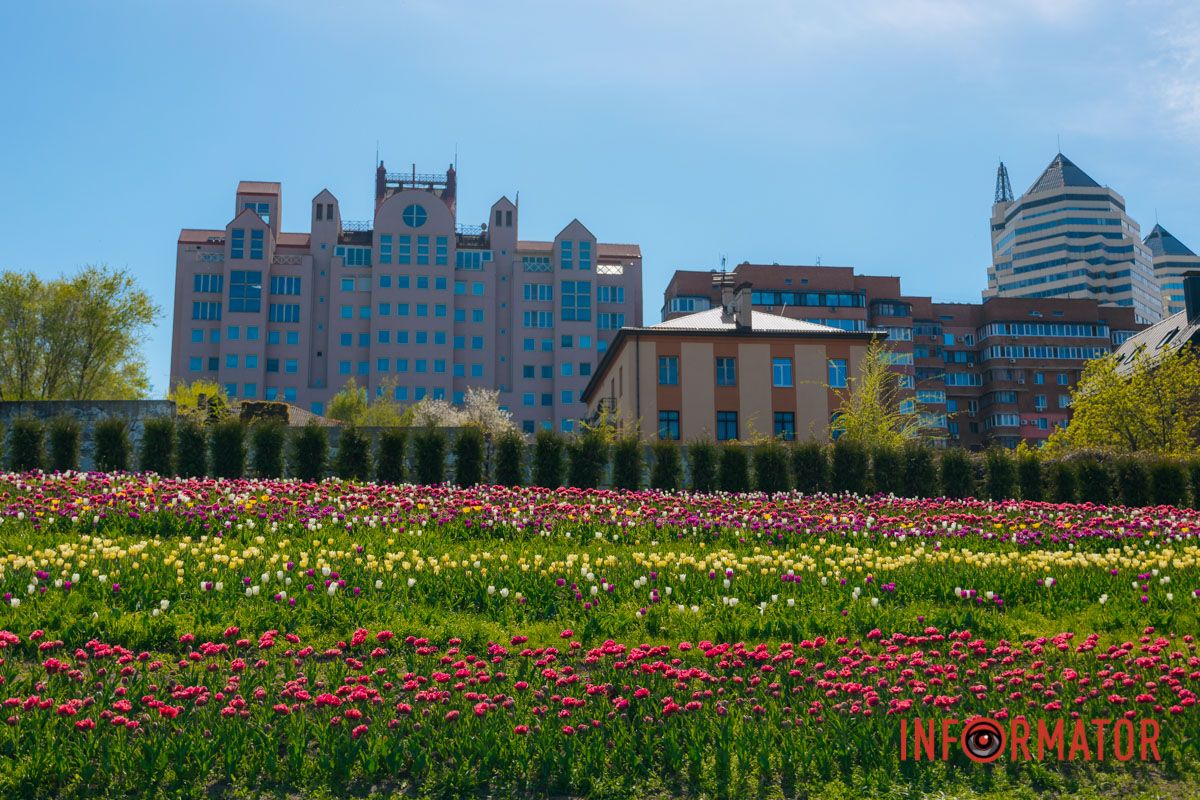 Весна всегда найдет дорогу к сердцу