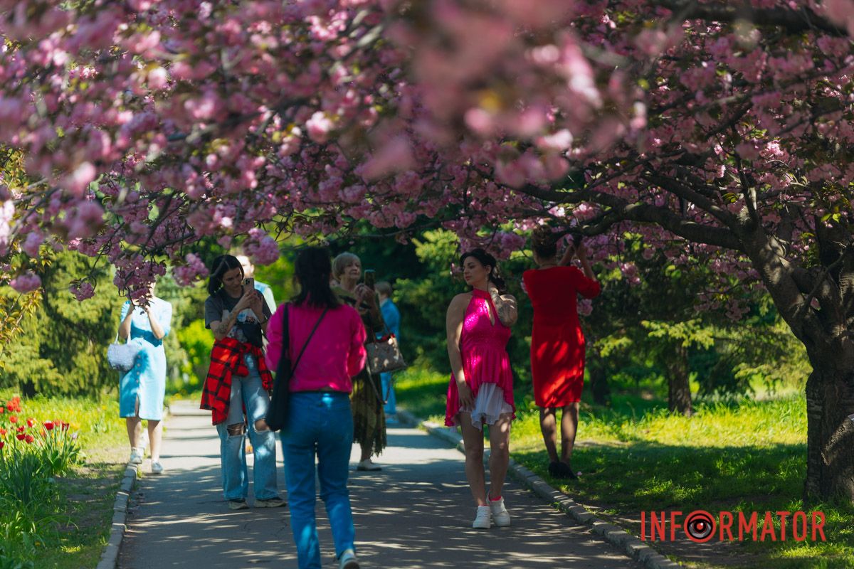 Весна в розовых красках: где в Днепре можно полюбоваться аллеей сакур 16